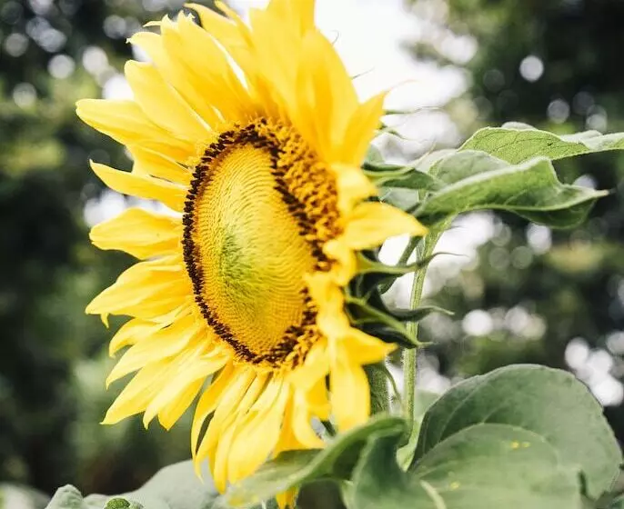 ホテル La Pentera