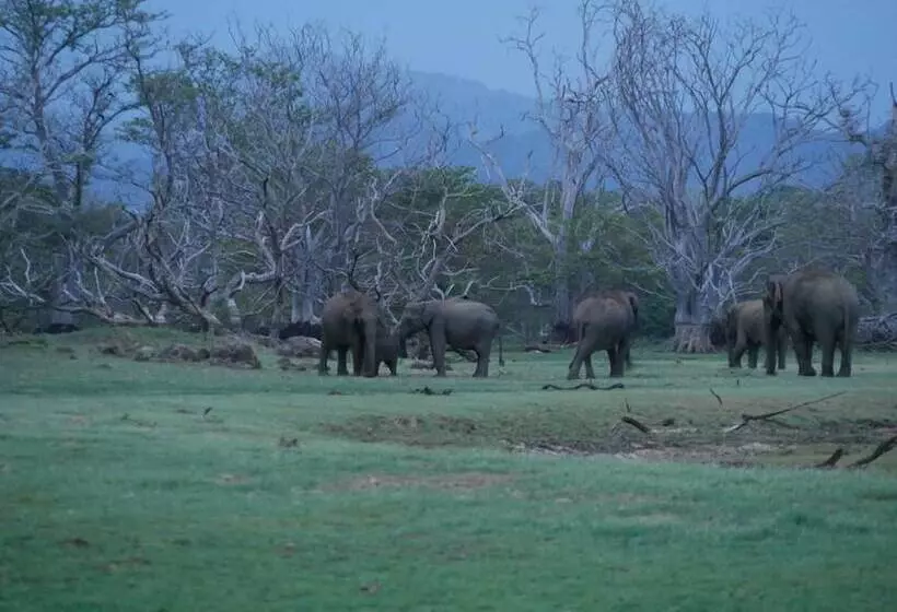 ホテル La Pentera