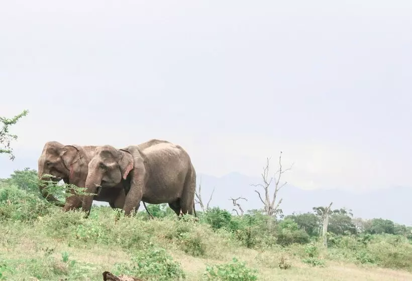 ホテル La Pentera