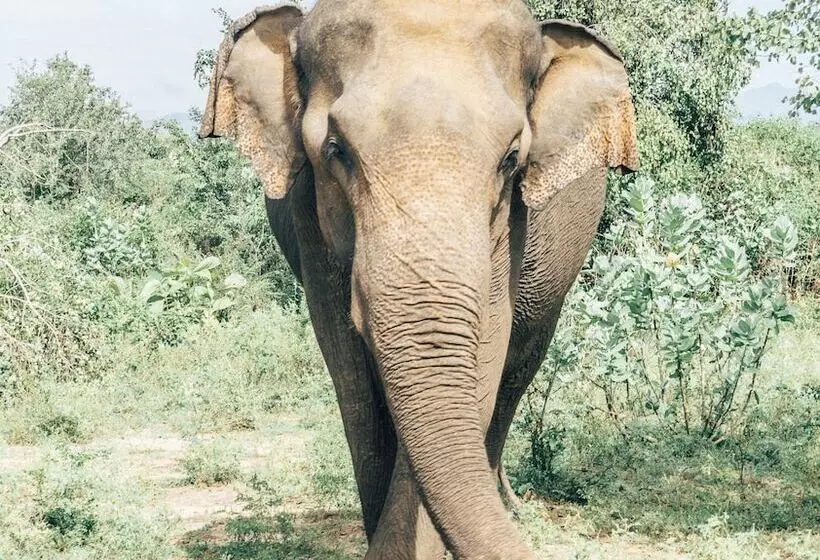 ホテル La Pentera