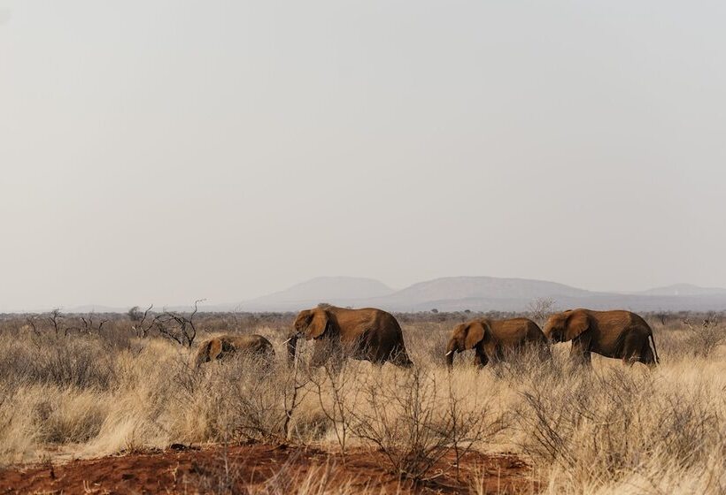 호텔 Lush Private Game Lodge