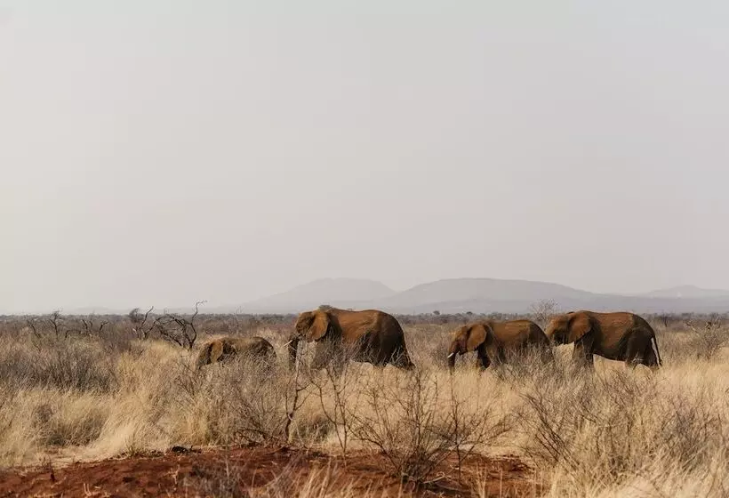 ホテル Lush Private Game Lodge