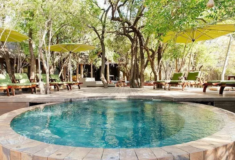 Hotelli Tambuti Lodge