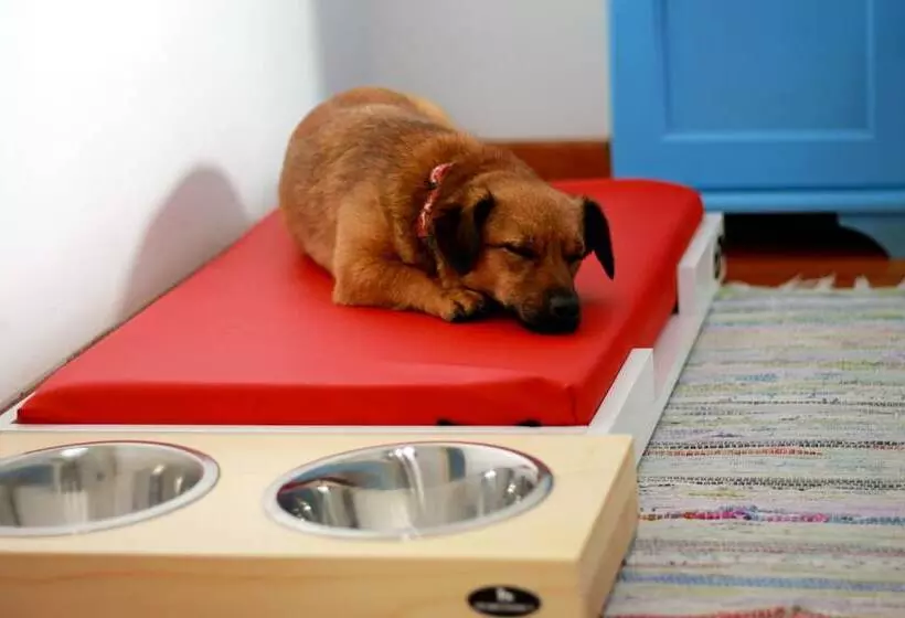 ホテル Pension Vuglec Breg