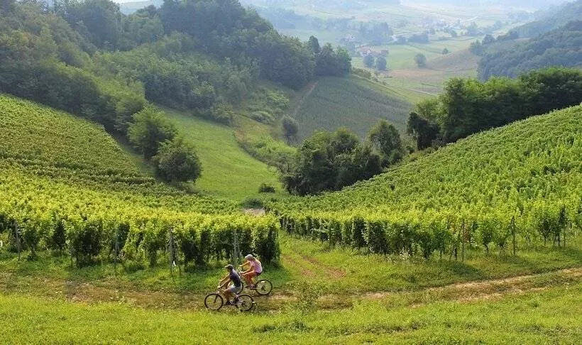 ホテル Pension Vuglec Breg