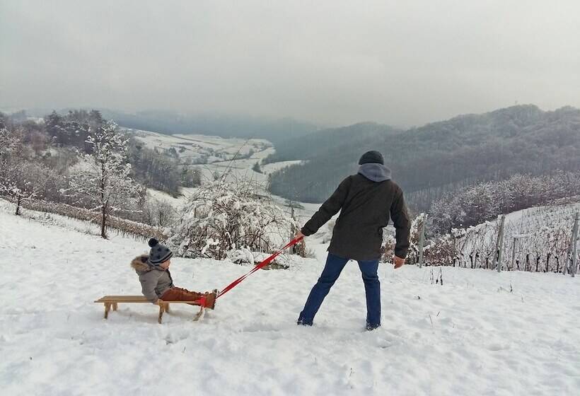 호텔 Pension Vuglec Breg