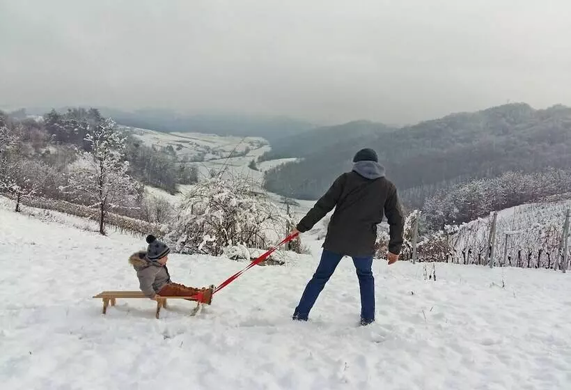 ホテル Pension Vuglec Breg