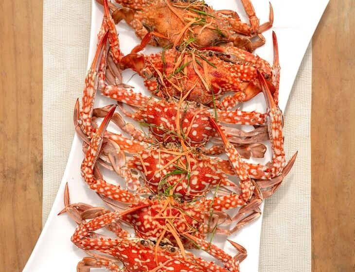 Solina Beach & Nature Resort