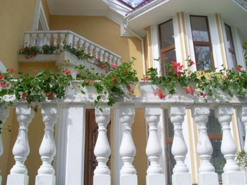 بنسيون Gnizdo Golubky