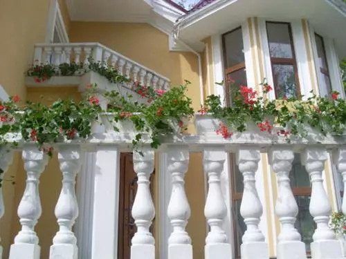 Majatalo Gnizdo Golubky