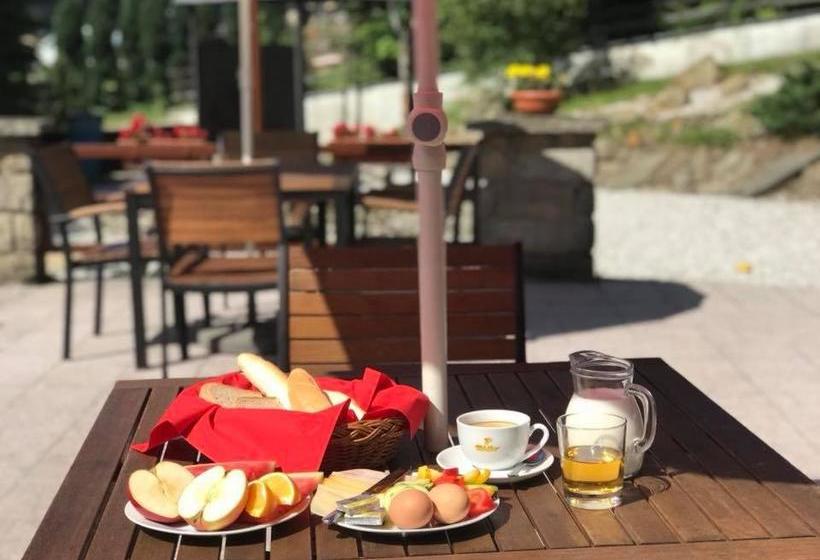 Отель Tanecnica