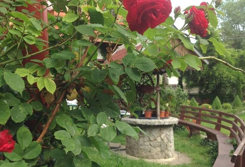 ペンション Conacul Bunicilor