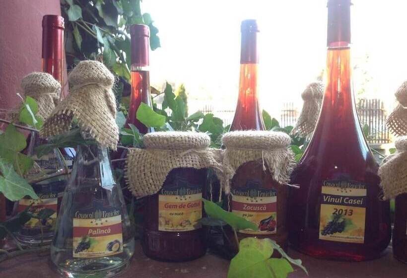 ペンション Conacul Bunicilor