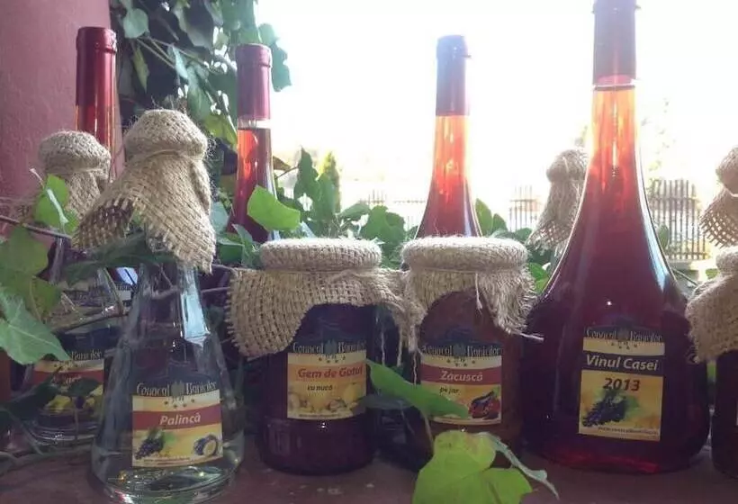 Majatalo Conacul Bunicilor