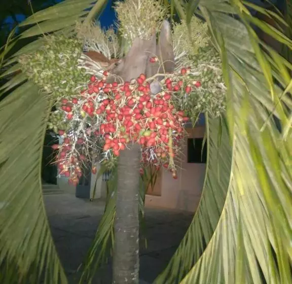 Lomakeskus Jackson Guesthouse Anomabo