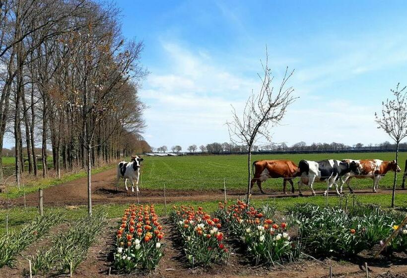 Bed And Breakfast De Volkelse Hooiberg
