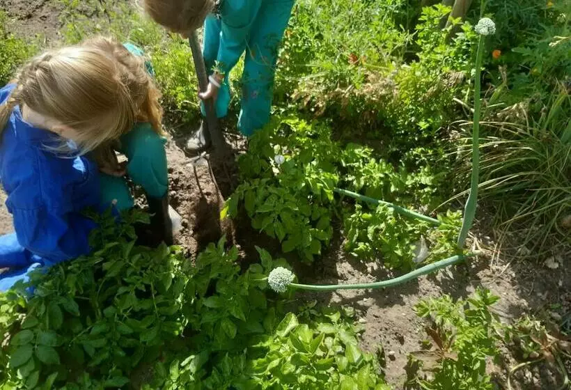 Bed And Breakfast De Volkelse Hooiberg