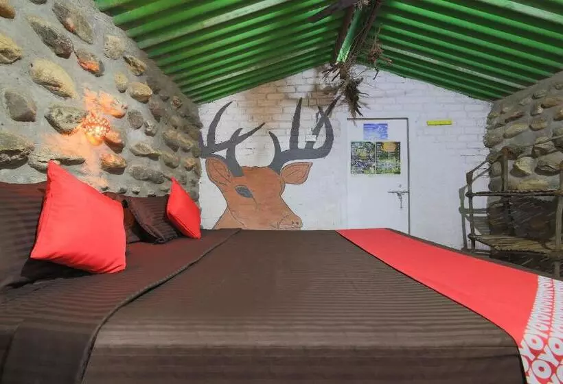 Hotelli Jungle Book Resort