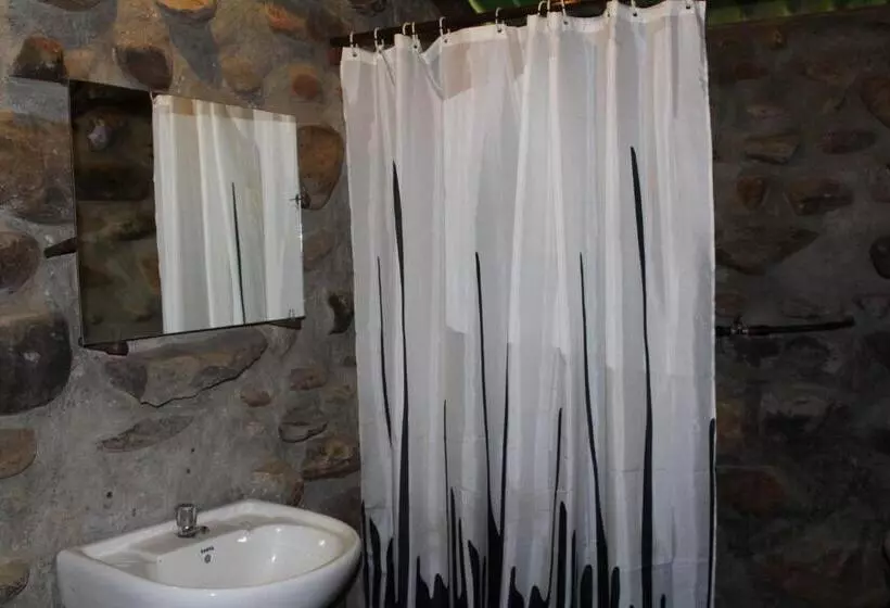 Hotelli Jungle Book Resort