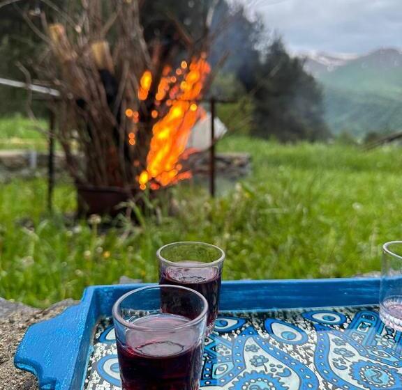 פנסיון Lermont Guest House