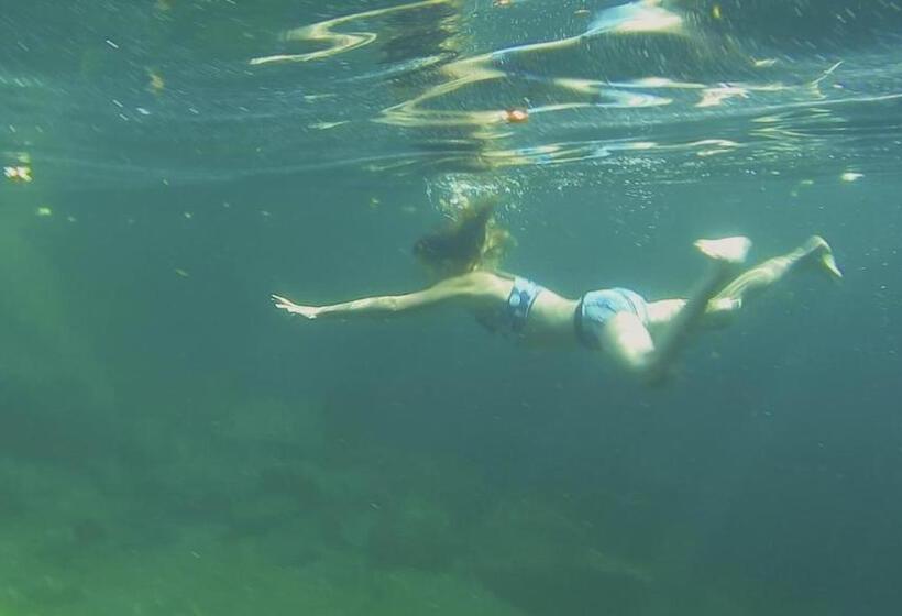 호스텔 Baracca Backpacker