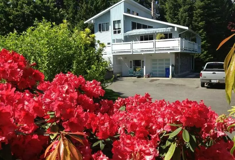 Bayview B&b