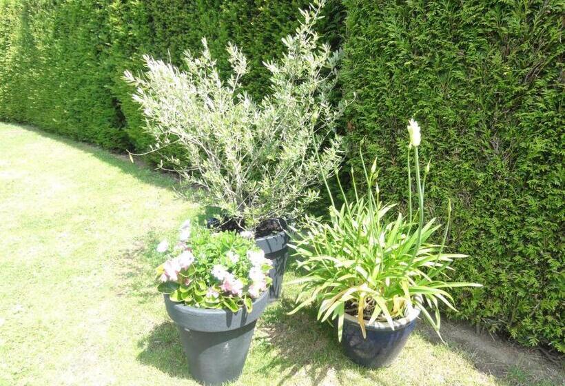 B&b Appartementen Engelenhof