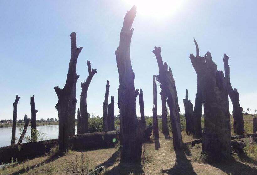 B&b Appartementen Engelenhof