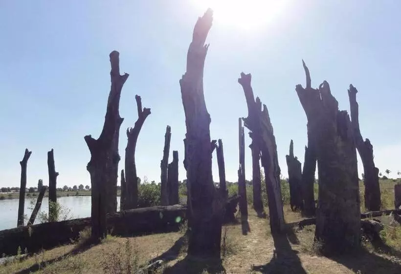 B&b Appartementen Engelenhof