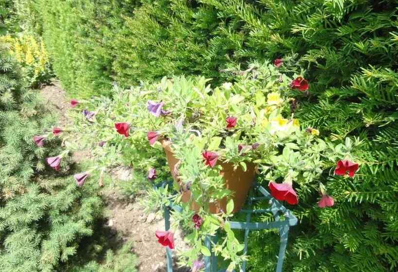 B&b Appartementen Engelenhof