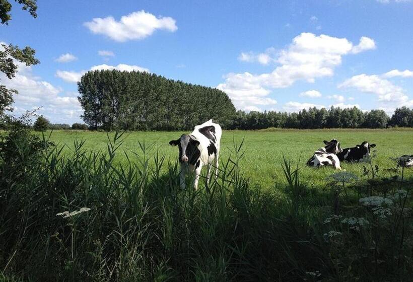 住宿加早餐  Het Hart Van Alem