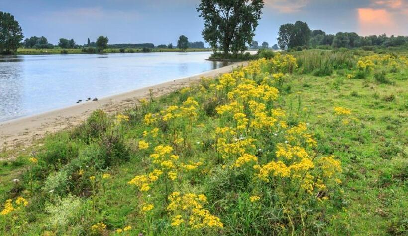 住宿加早餐  Het Hart Van Alem