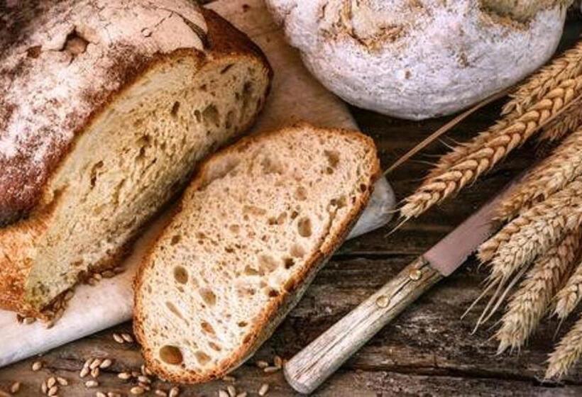 住宿加早餐  Het Hart Van Alem