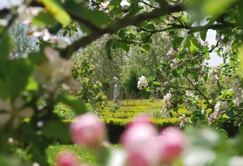 ベッドアンドブレックファースト Logement Doosje