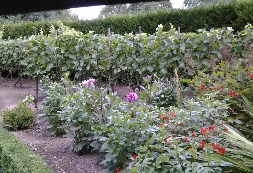 ベッドアンドブレックファースト Vakantie Appartementen Engelen