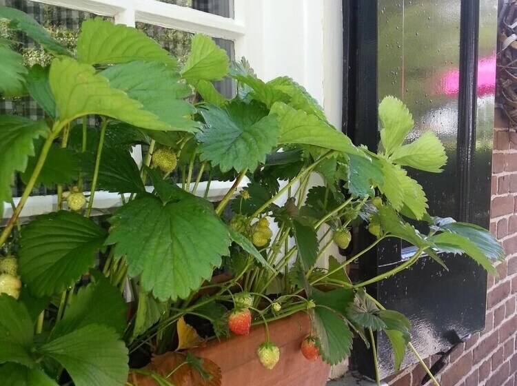 Hotel Boerderij Restaurant De Gloepe