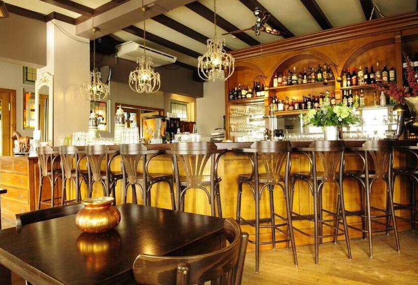 酒店 De Gouden Karper