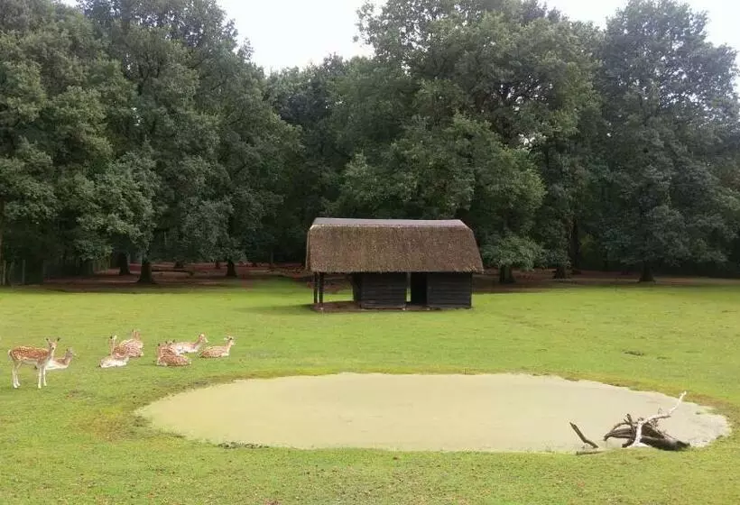 ホテル De Spaarbankhoeve