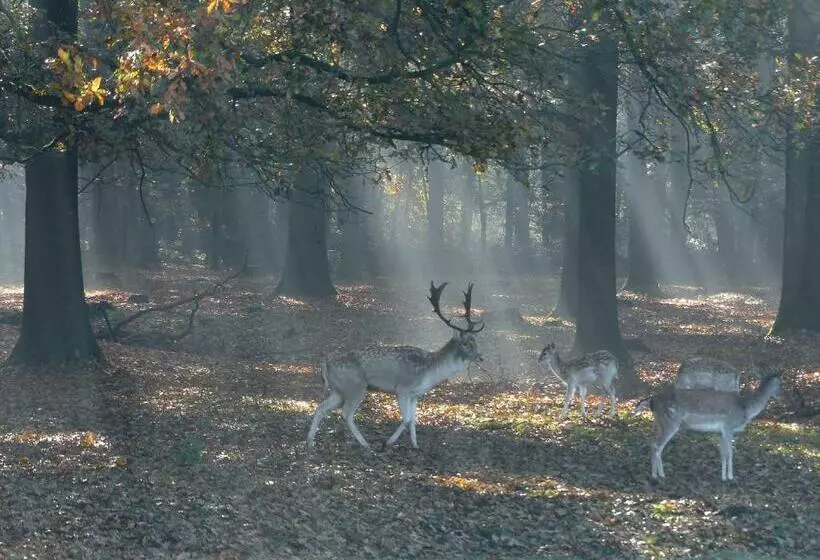 ホテル De Spaarbankhoeve