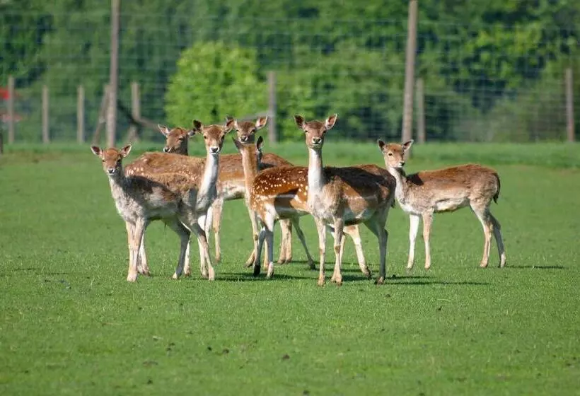 Hotelli Landgasthof Hofmeier