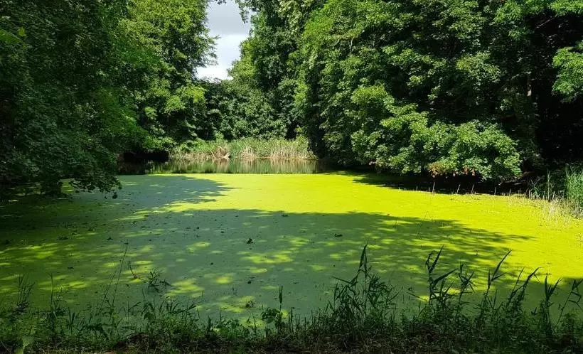 Hotelli Schloss Frauenmark