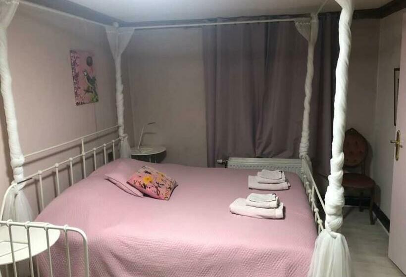 بنسيون Les Lumerettes   Dohan