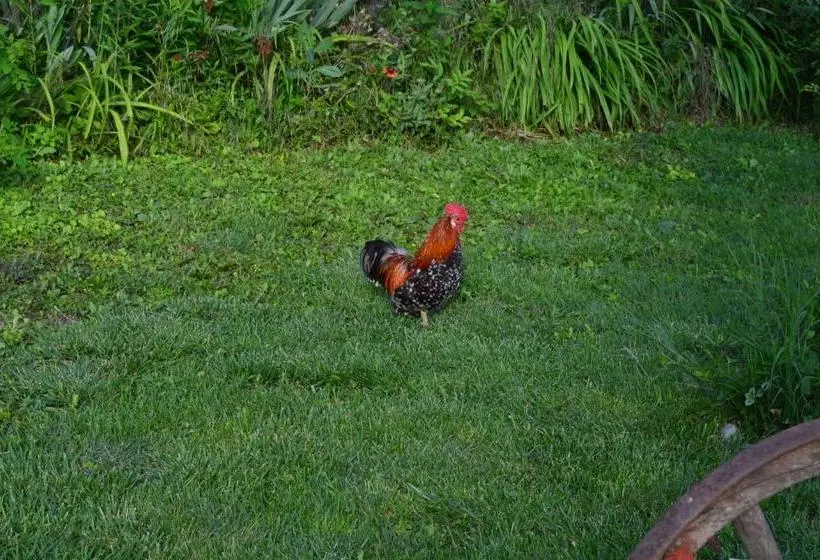 ペンション The Old House Guest House