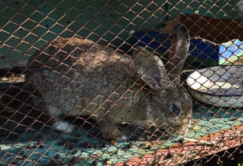 ペンション The Old House Guest House