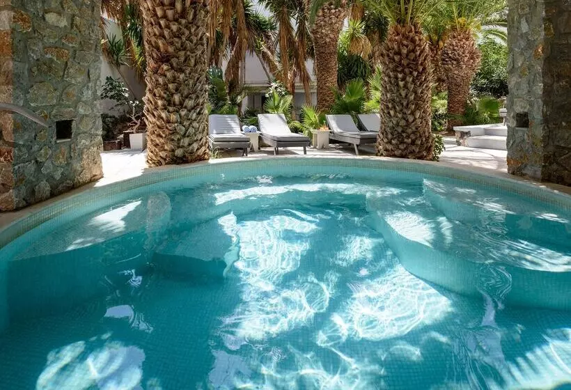 هتل Afroditi Venus Beach Resort