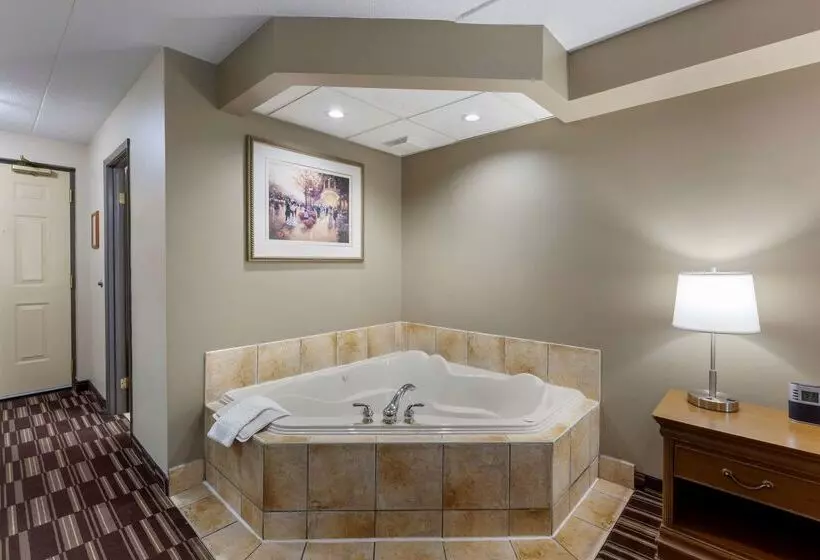 酒店 Best Western Plus Orillia