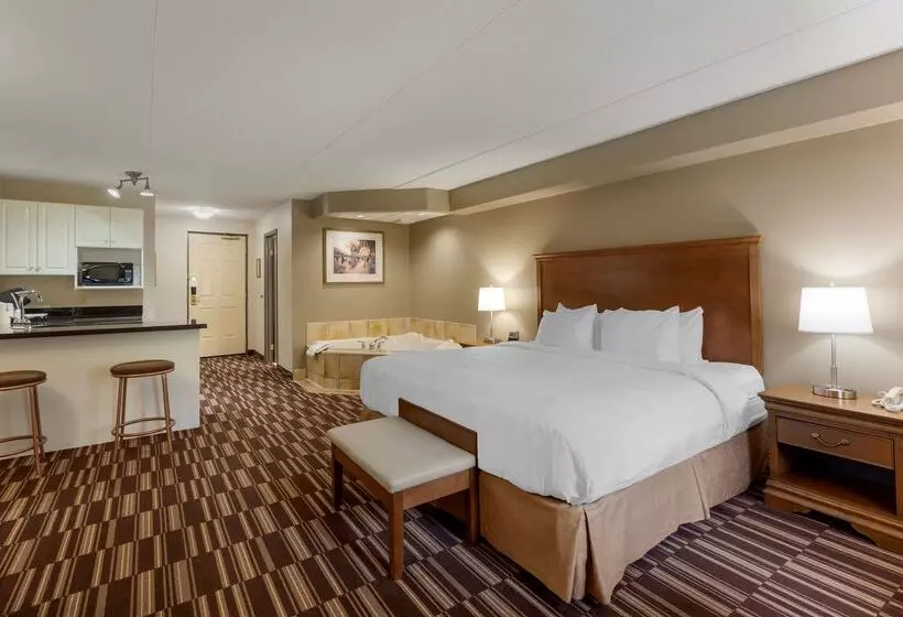 酒店 Best Western Plus Orillia