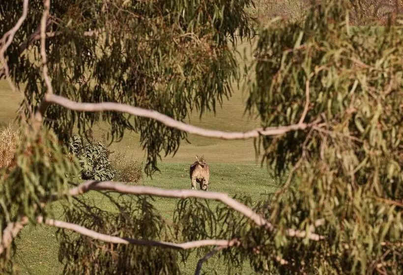 Отель Yarra Valley Lodge