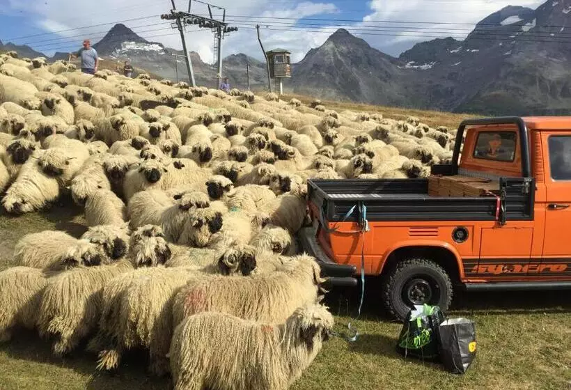 Retkeilymaja Restaurant Fleschboden