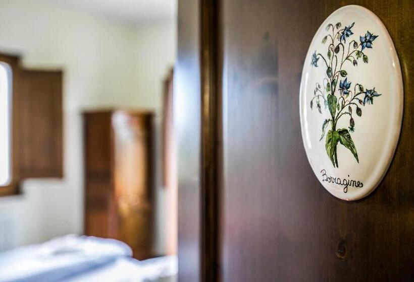 Bed and Breakfast Casina Margherita